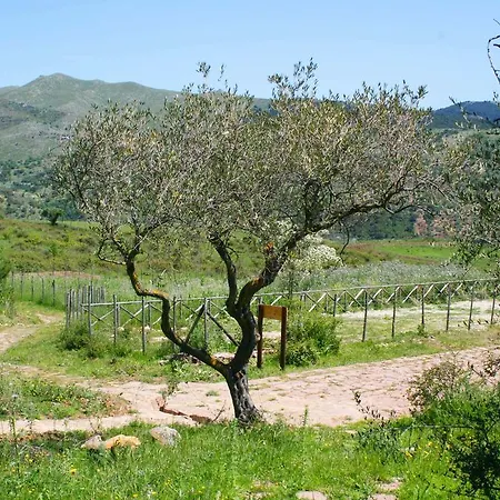 Agriturismo Parco Vecchio *