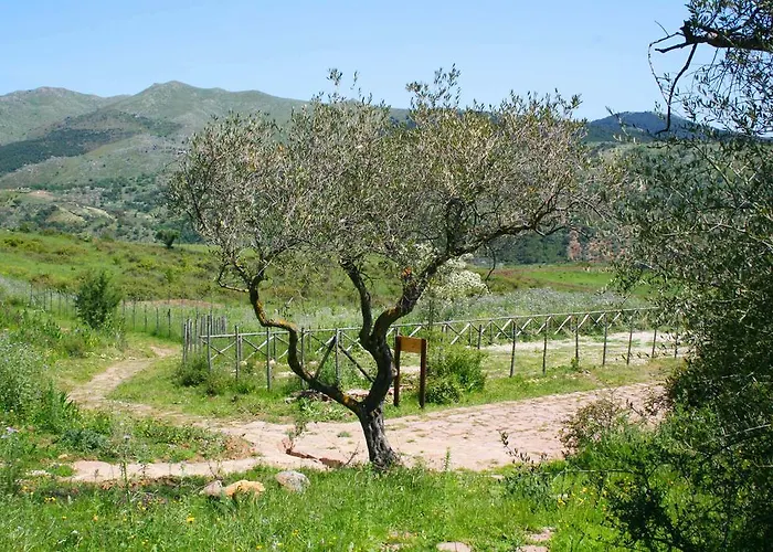 Agriturismo Parco Vecchio *