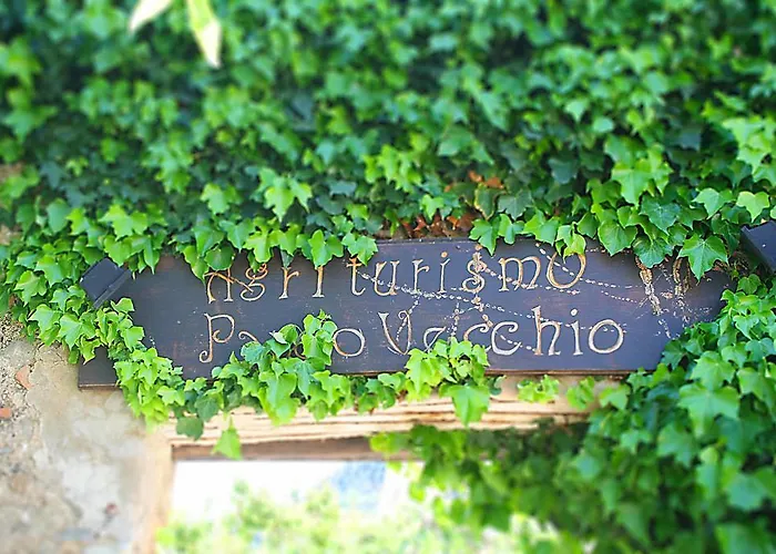 Alloggio per agriturismo Agriturismo Parco Vecchio